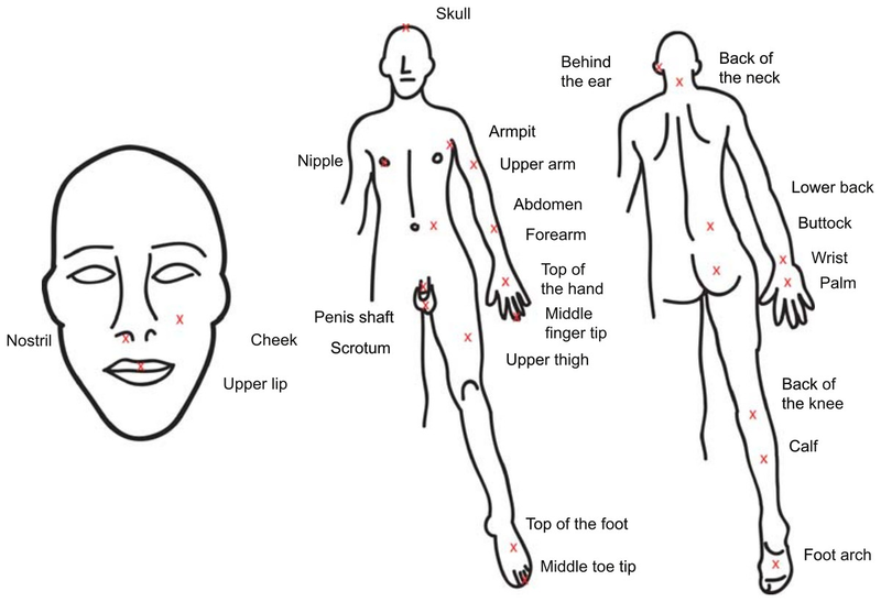 Illustration for article titled These Are the Most Painful Places to Get Stung by a Bee